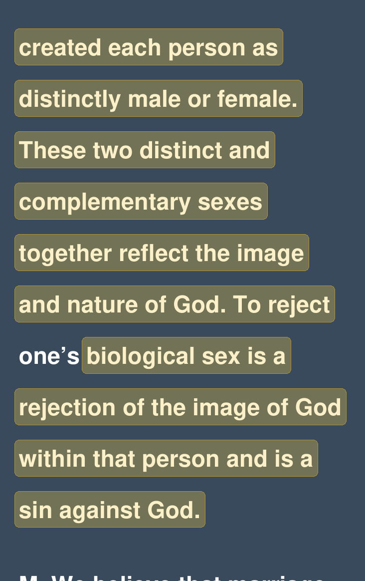 Highlighted excerpt from Wisdom and Truth Classical Academy handbook