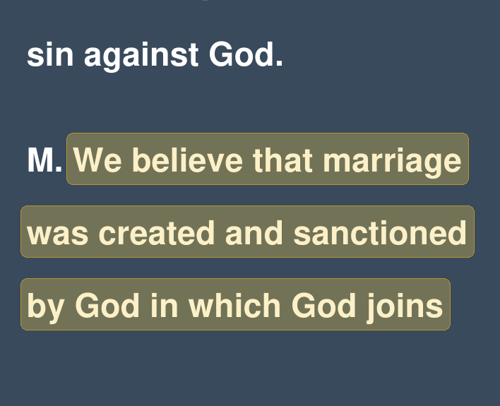 Highlighted excerpt from Wisdom and Truth Classical Academy handbook